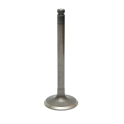 Massey Ferguson intake valve OEM code 3142H002, 746823M1
