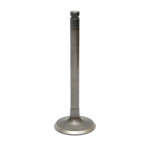 Massey Ferguson intake valve OEM code 3142H002, 746823M1