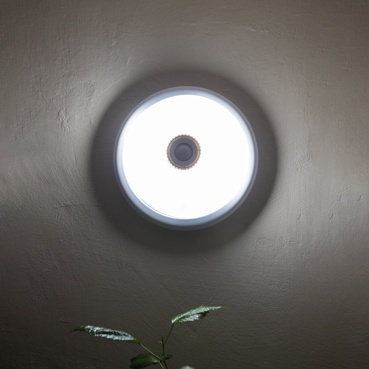 LED ceiling light with twilight sensor 12W, 220V, 360 degrees, 300x105mm Breckner Germany