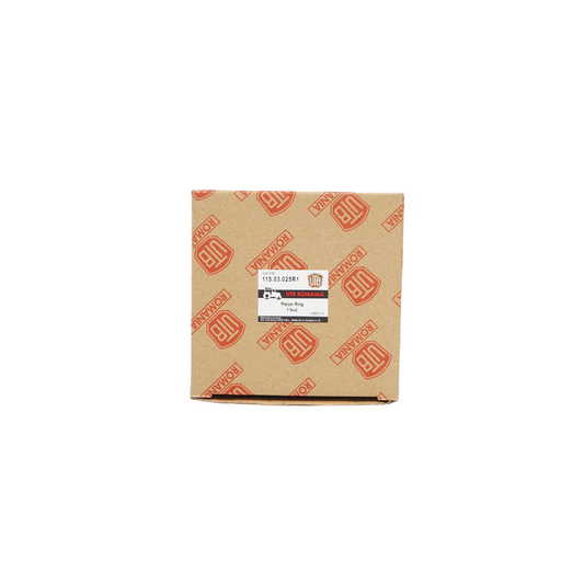 Fiat U-445 motor segments 3 pistons R1, 95.4x2.5+2.5+5.5mm