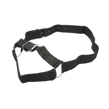 Nylon cow halter 50mm