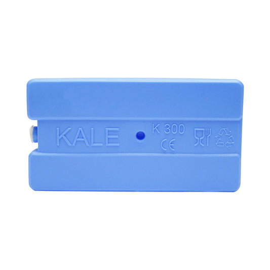 Cooling element K300 350g for freezer 180x100x20mm Breckner Germany