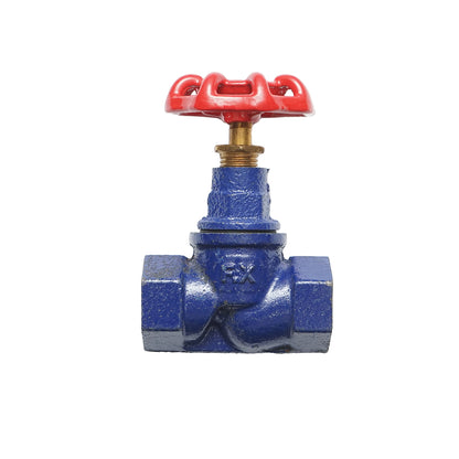 Cast iron gate valve 1/2