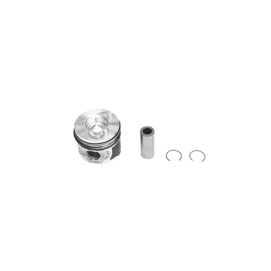 76mm equipped piston engine for Dacia Logan 1.5dCi with a 25mm standard bolt