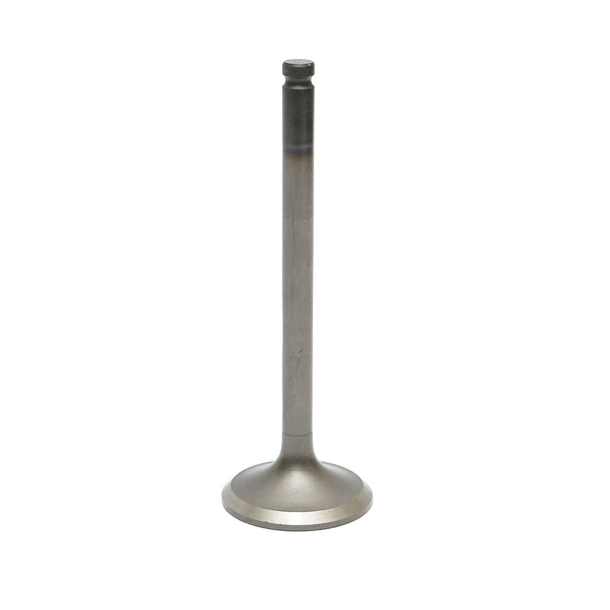Massey Ferguson intake valve OEM code 731151M1