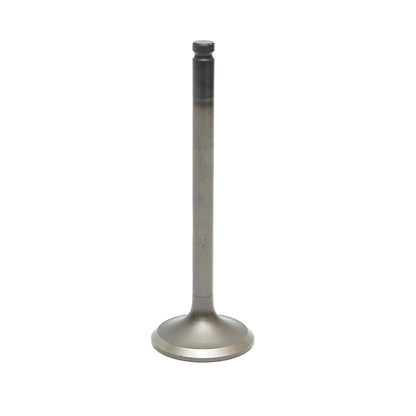 Massey Ferguson intake valve OEM code 731151M1