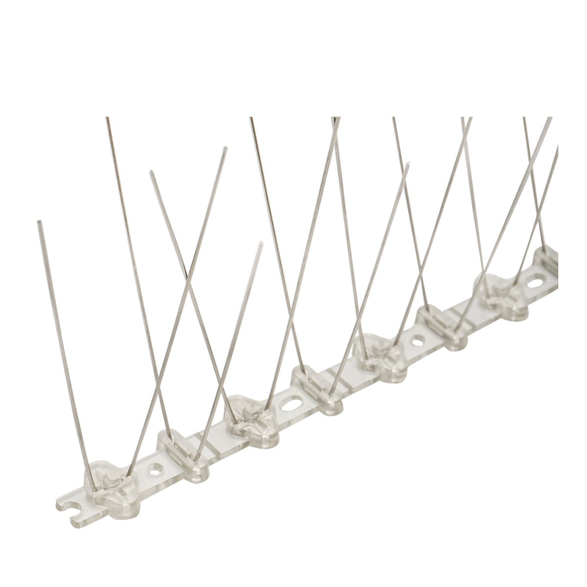 Band with 10 thorns, anti-bird spikes Baisan