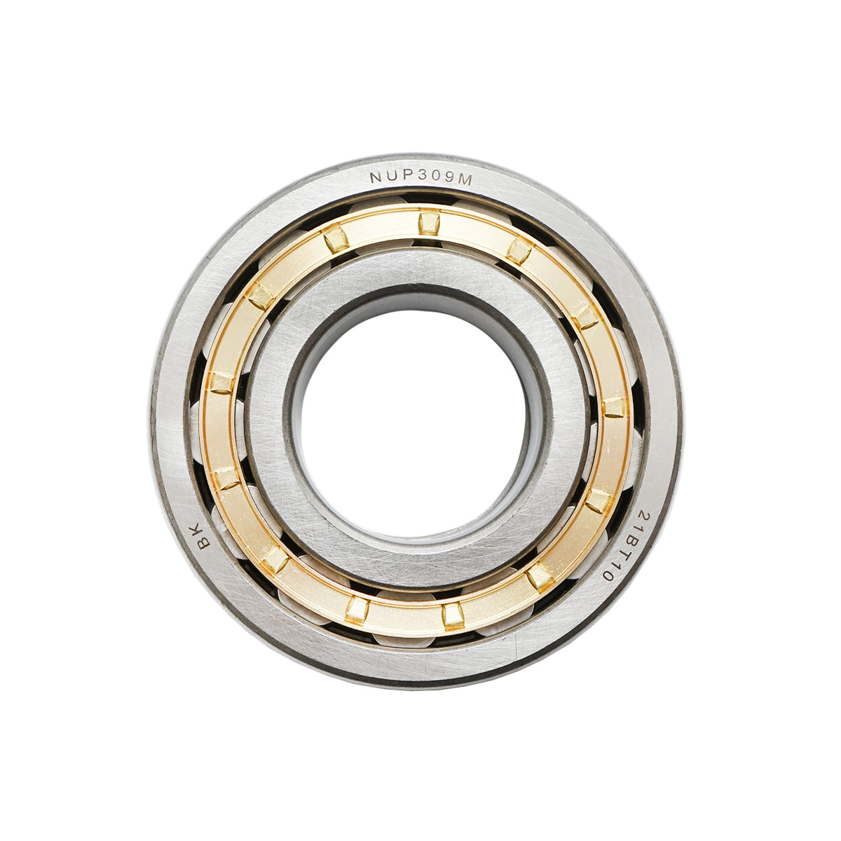 Bearing NUP309
