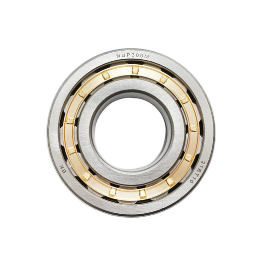 Bearing NUP309