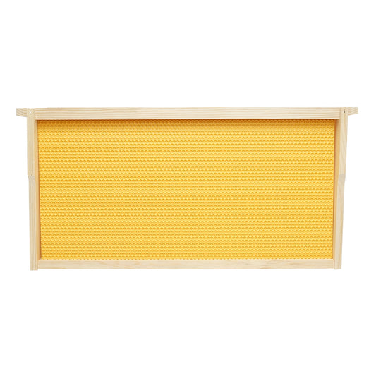Wooden hive frame with plastic comb type Dadant 483x448x232mm