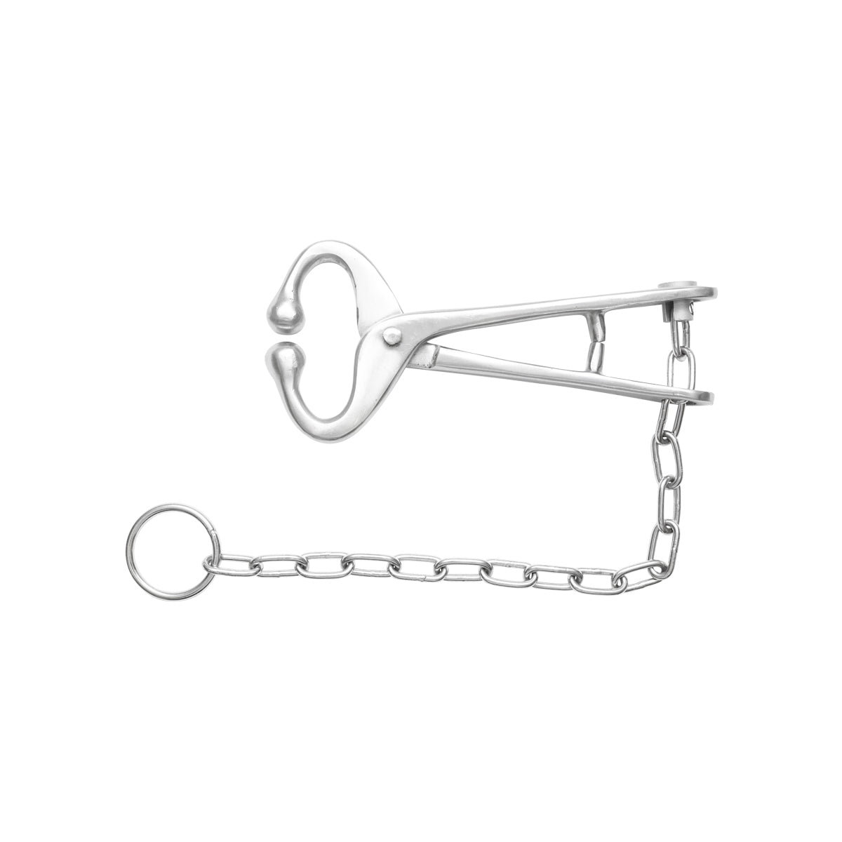 Mucarnita with chain for quick and efficient immobilization of cattle Breckner Germany