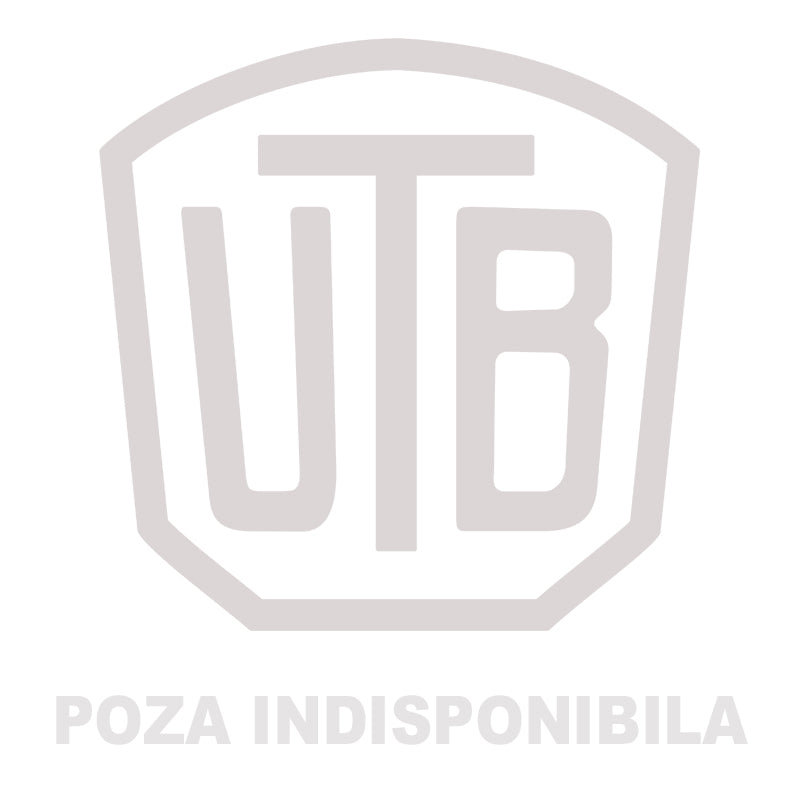 Diesel injector cleaning solution 250ml max. 5L oil