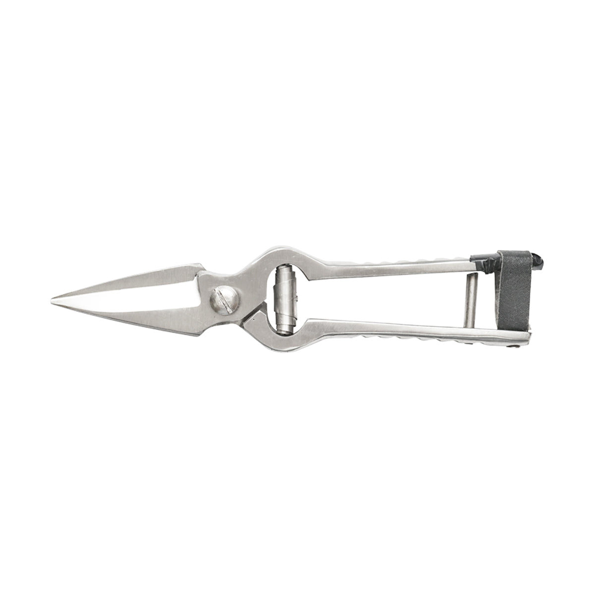 Right scissors for sheep and goats, 230mm Breckner Germany