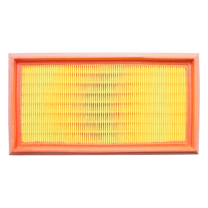 Air filter Dacia Papuc and Solenza 1.9 Diesel F8Q