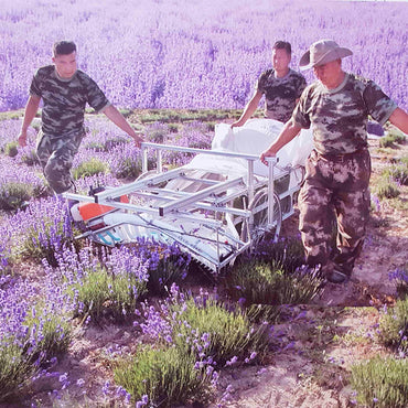 Lavender harvesting machine