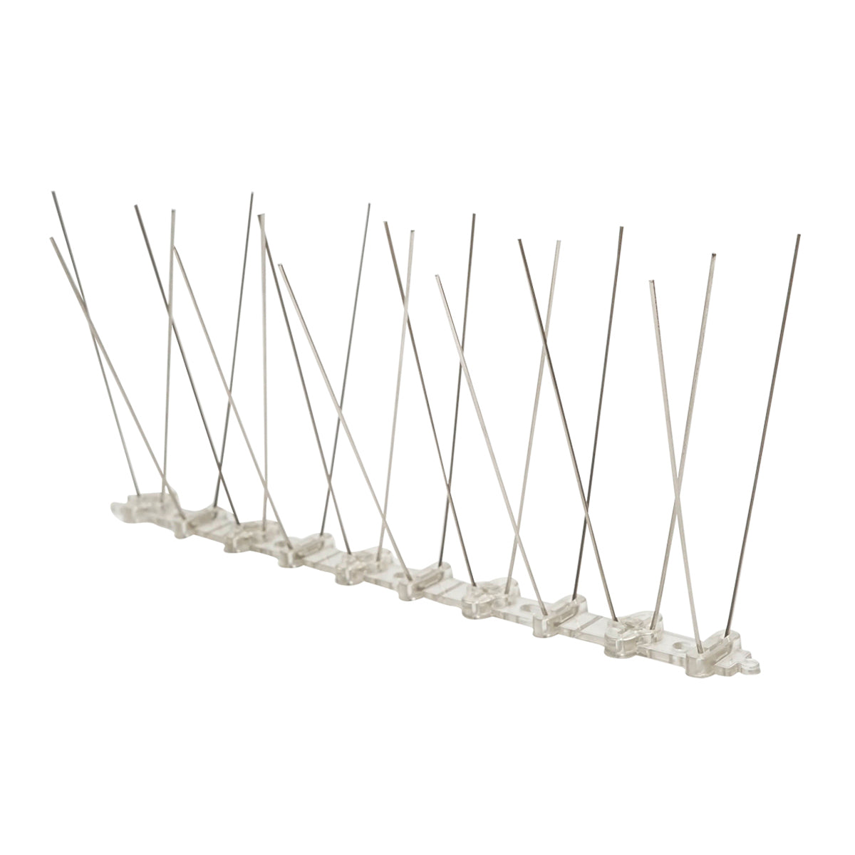 Band with 10 spikes, anti-bird thorns Baisan