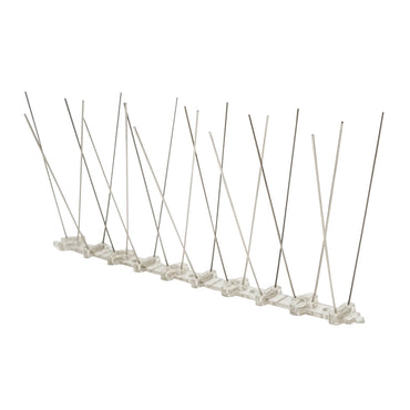 Band with 10 spikes, anti-bird thorns Baisan