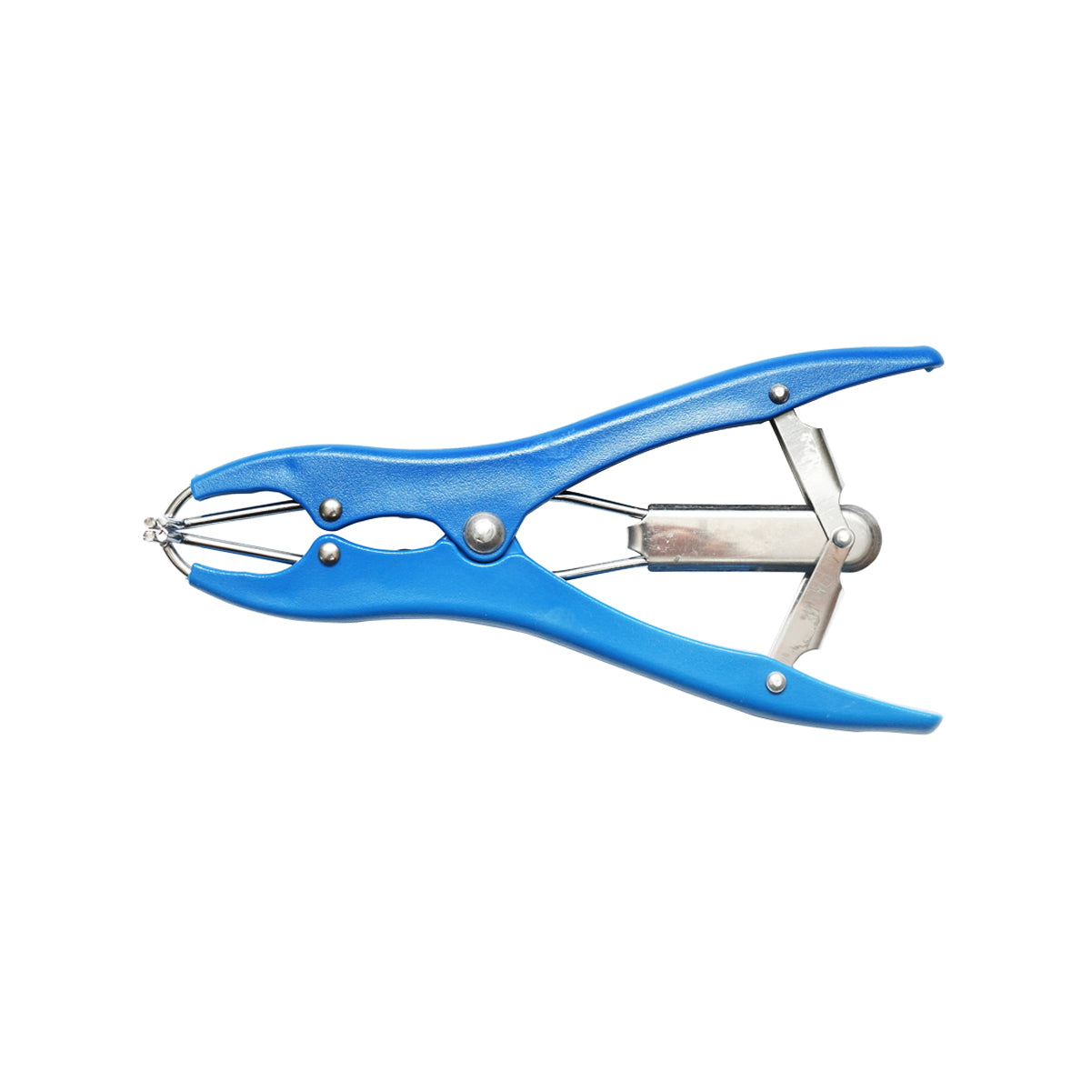 Breckner Germany castration pliers with ring for cattle, sheep, pigs