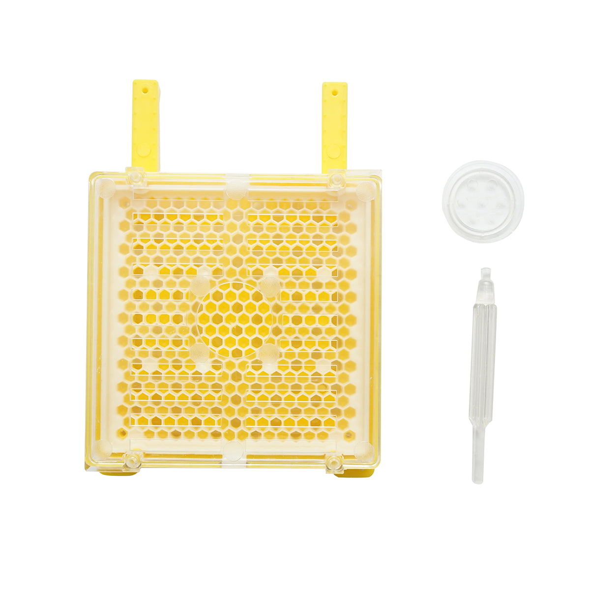 Complete growth kit for queens