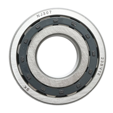 Planetary bearing/shaft U-445 NJ307