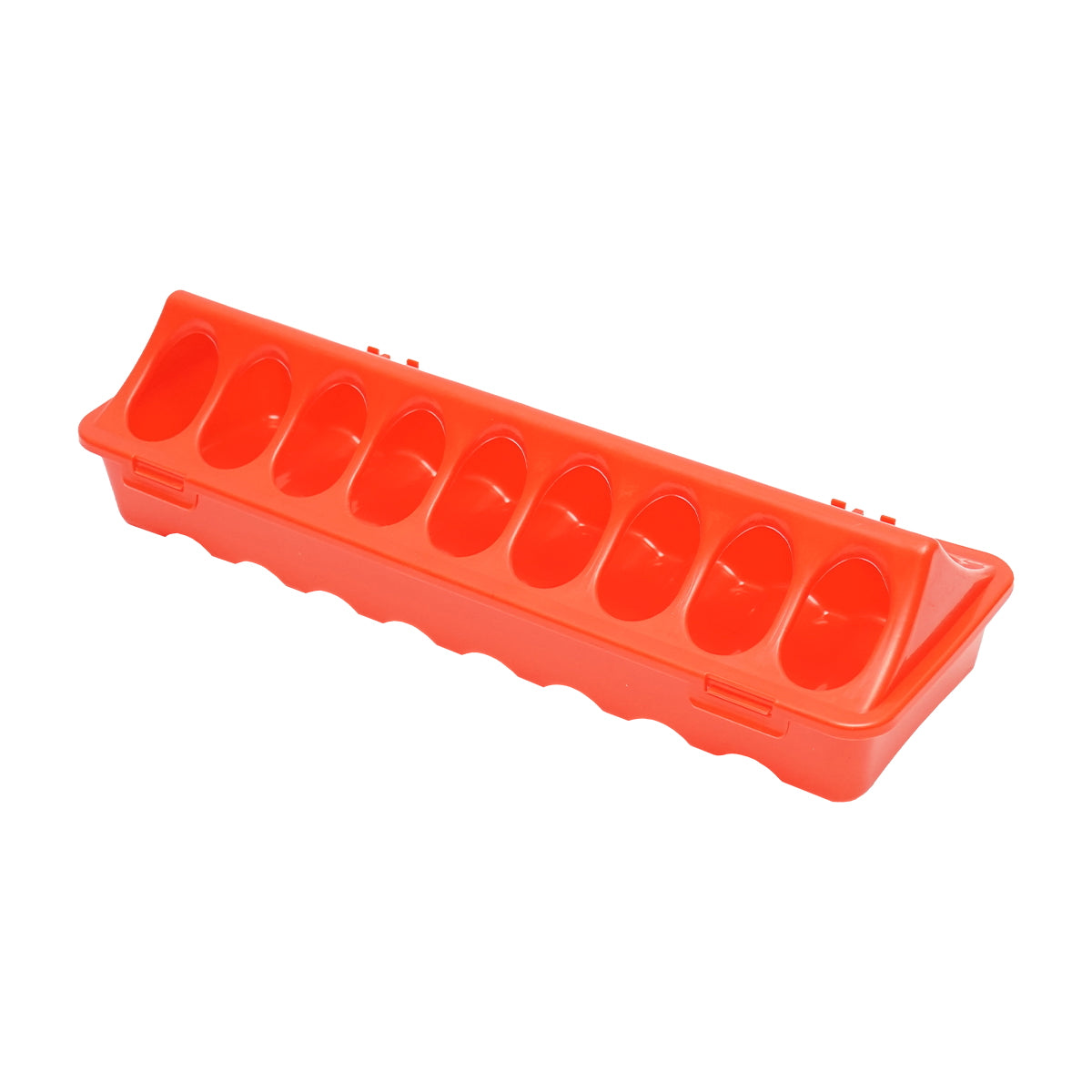 Feeder for chicks and poultry 30cm Breckner Germany