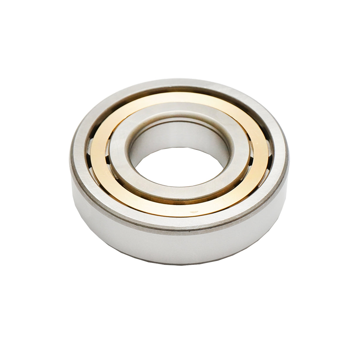 Bearing NUP309