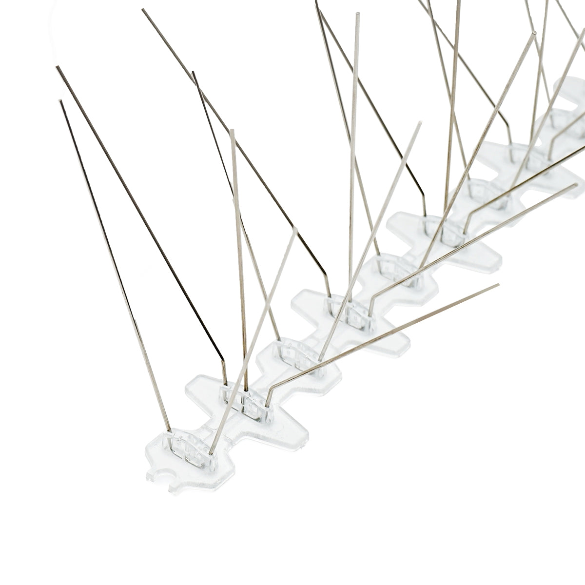 Anti-bird band 50cmx50 spikes, thorns