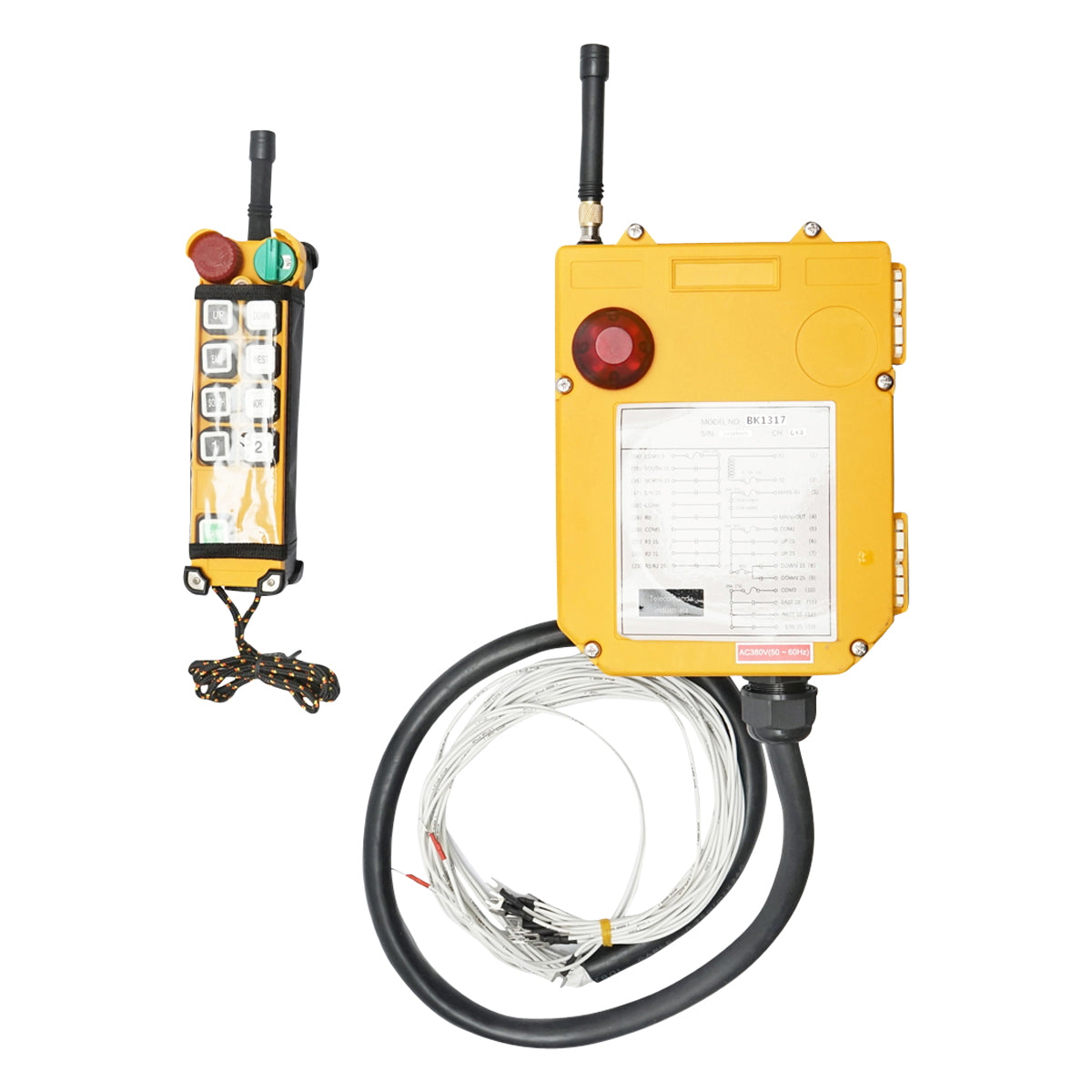 Wireless industrial remote control with 10 commands AC 380V and water protection Breckner Germany