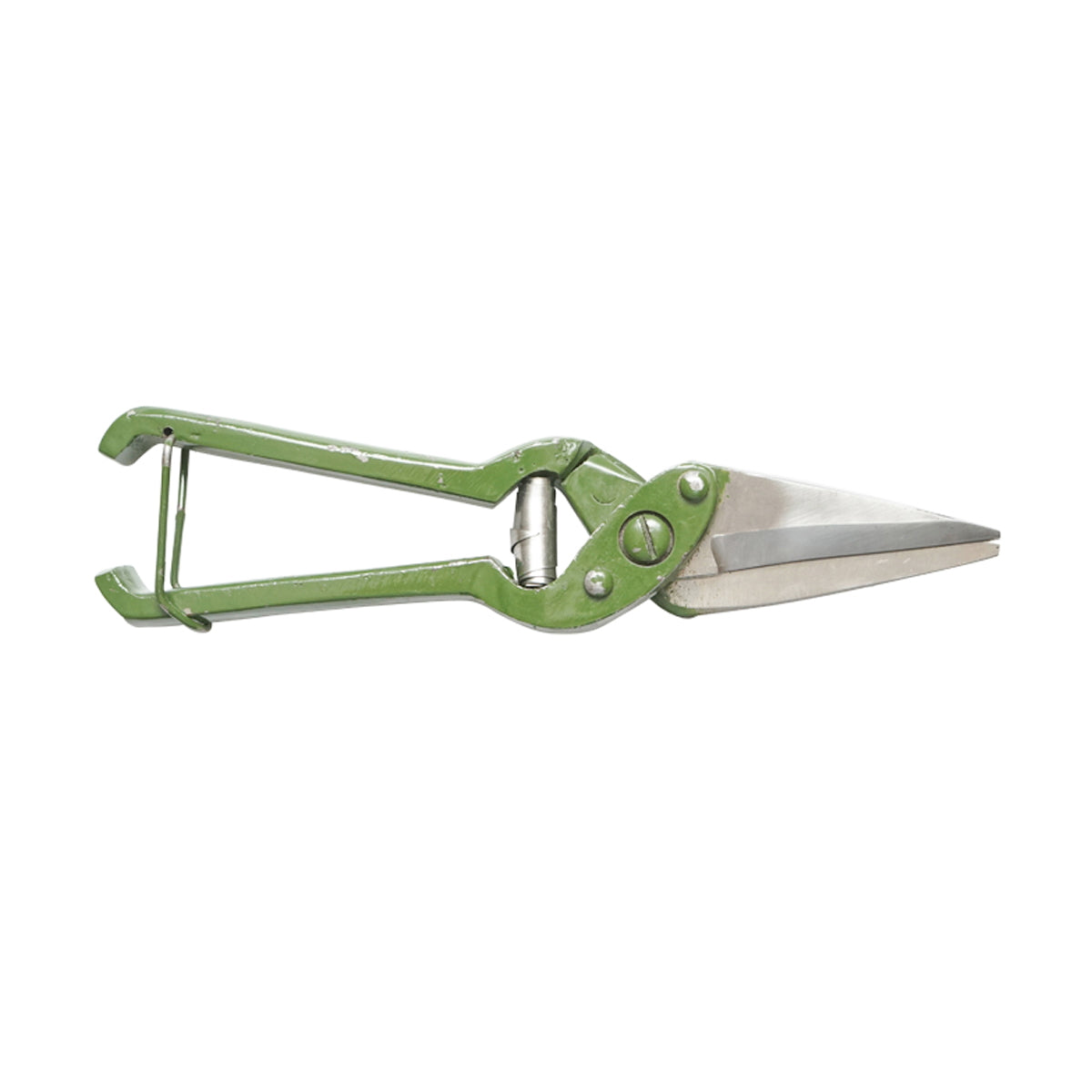 The serrated scissors for sheep and goats 240mm Breckner Germany