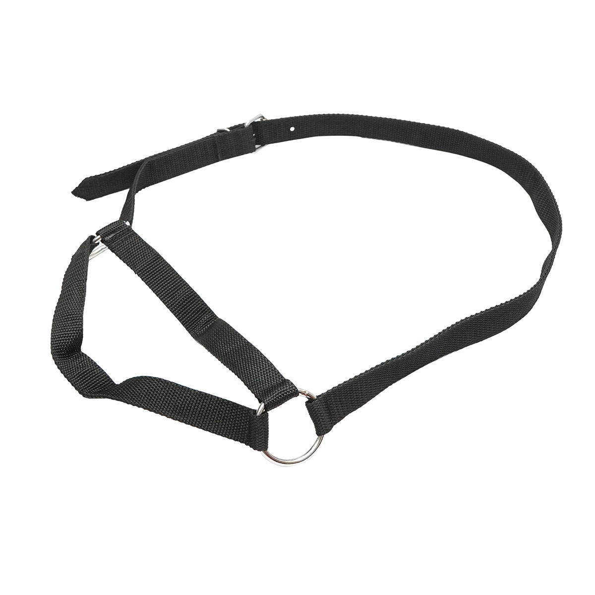 Cow halter with a 25mm nylon chain