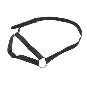 Cow halter with a 25mm nylon chain
