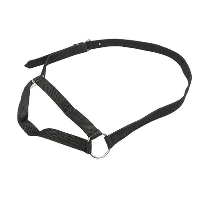 Cow halter with a 25mm nylon chain