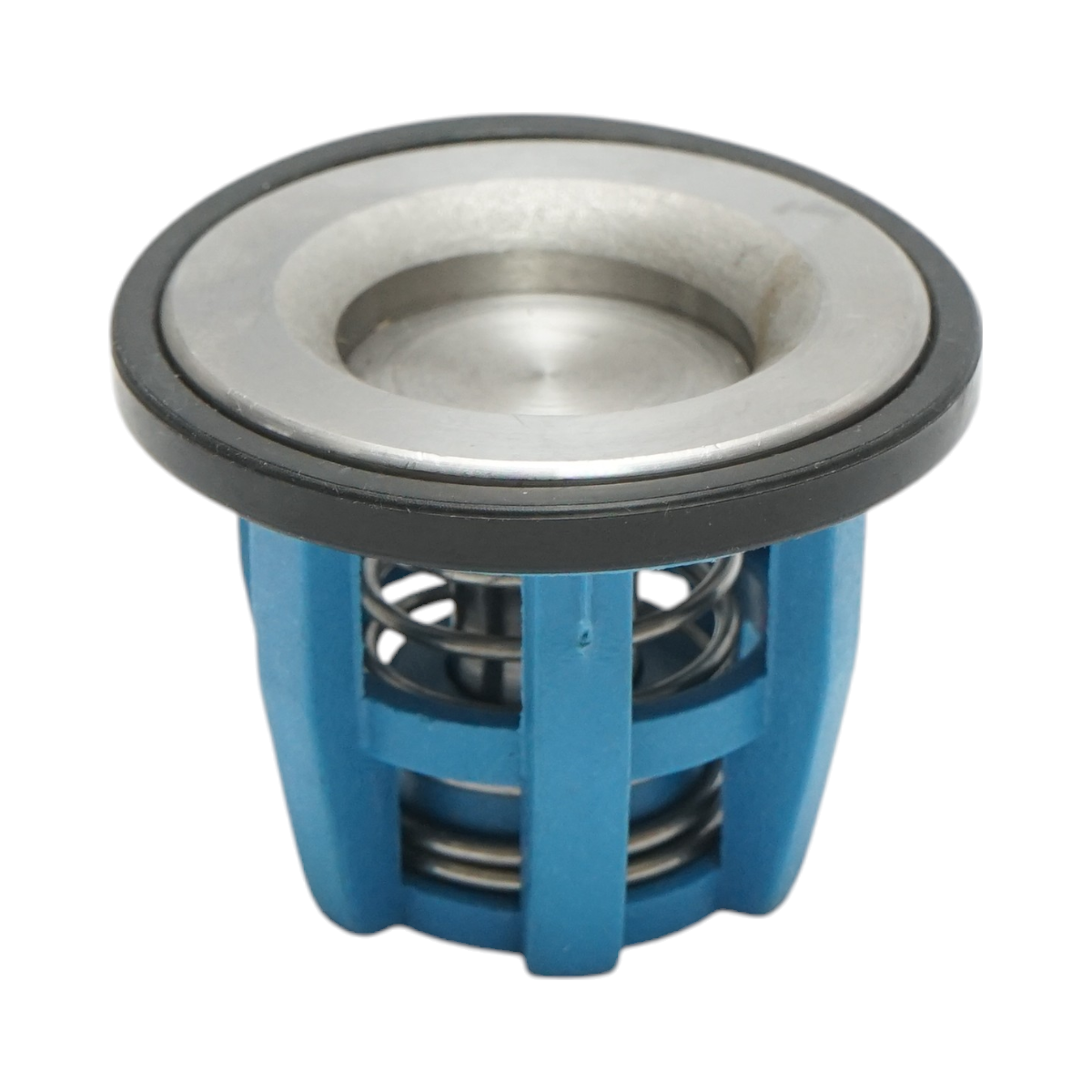 Check valve for diaphragm pump for herbicide applicator