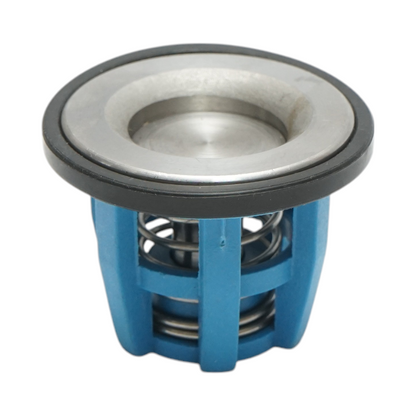 Check valve for diaphragm pump for herbicide applicator