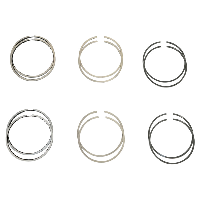 Chrome segments fi77 for Dacia 1600