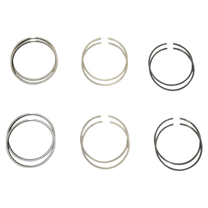 Chrome segments fi77 for Dacia 1600