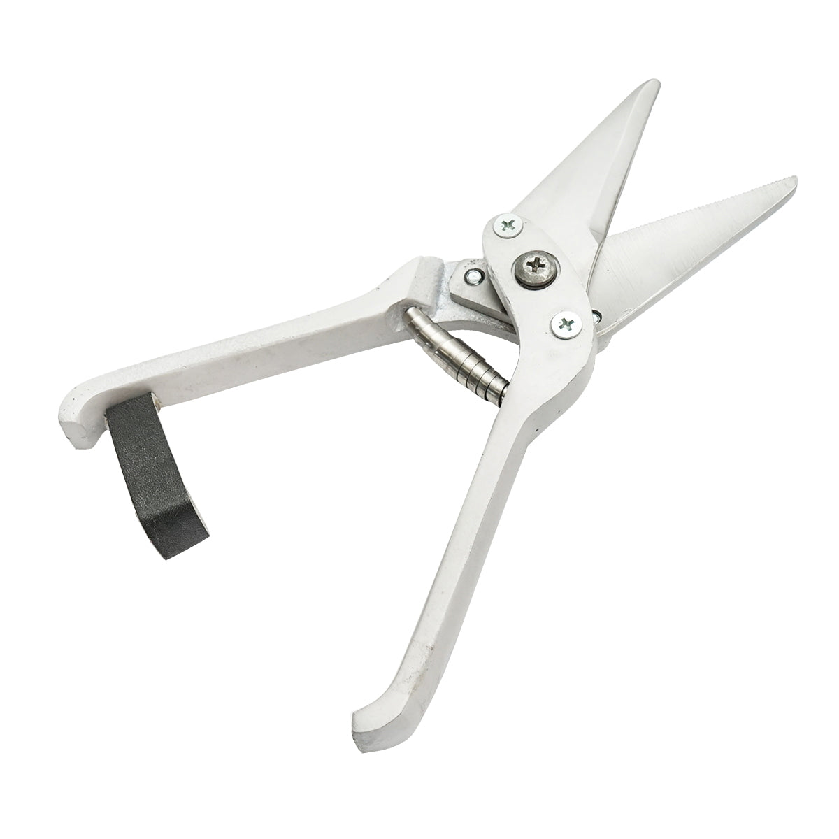 The nail scissors with serrated blade for sheep and goats Breckner Germany