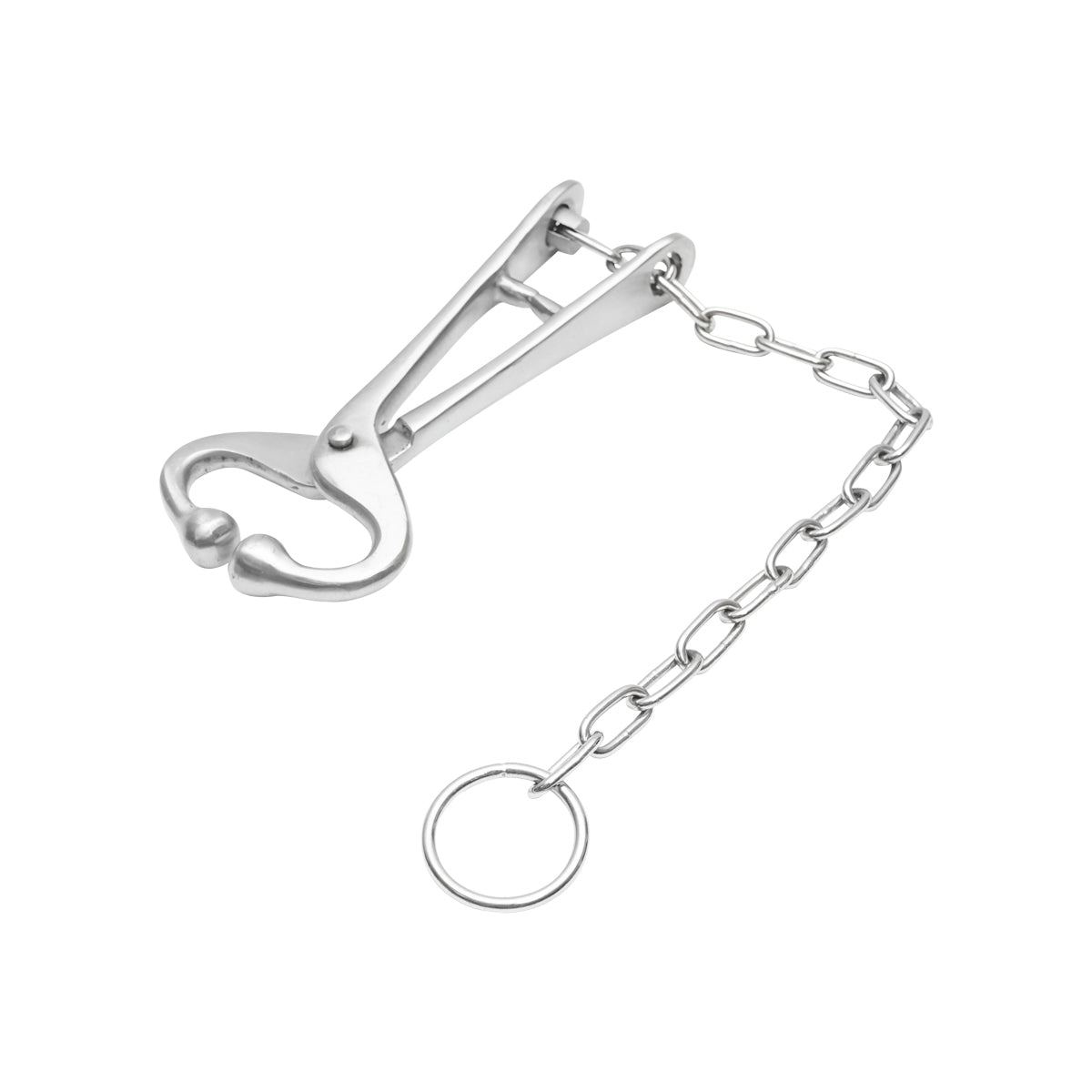 Mucarnita with chain for quick and efficient immobilization of cattle Breckner Germany