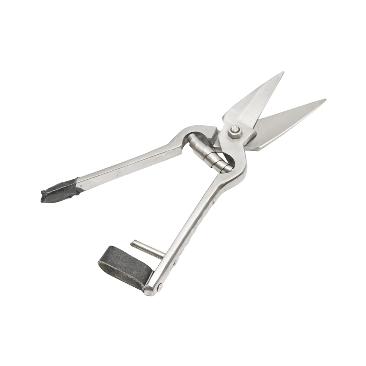Right scissors for sheep and goats, 230mm Breckner Germany