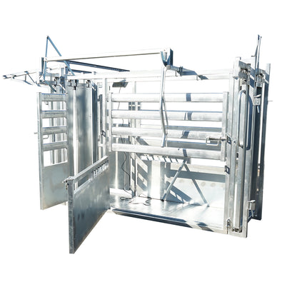 Contention stand, immobilization device for cattle with scale