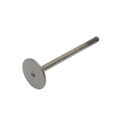 Massey Ferguson intake valve OEM code 731151M1