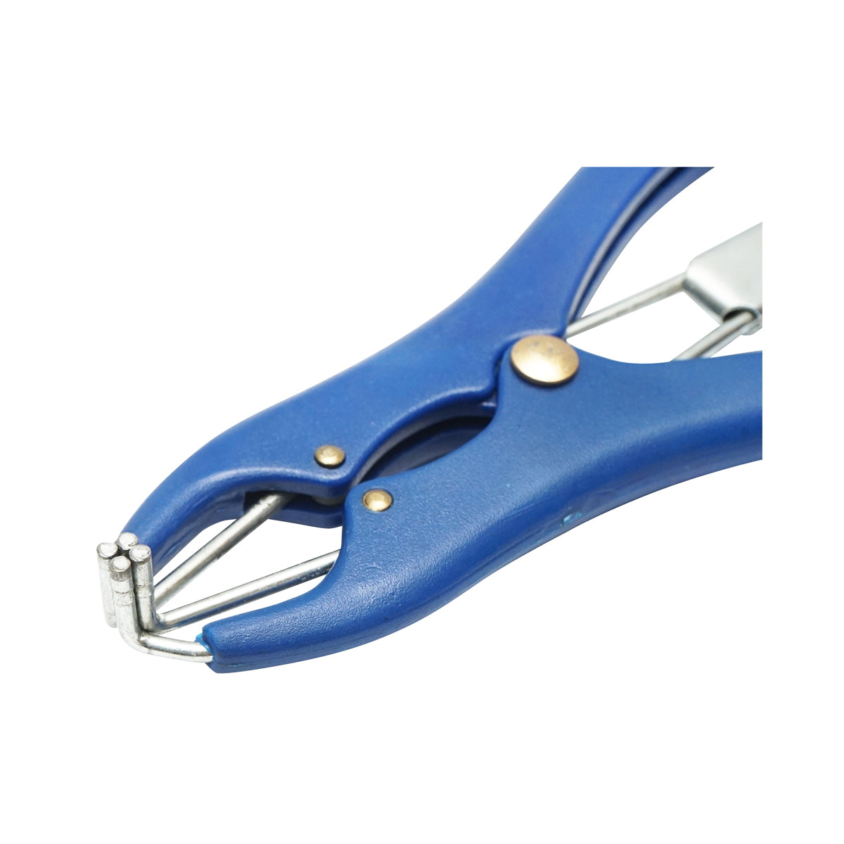 Breckner Germany castration pliers with ring for cattle, sheep, pigs