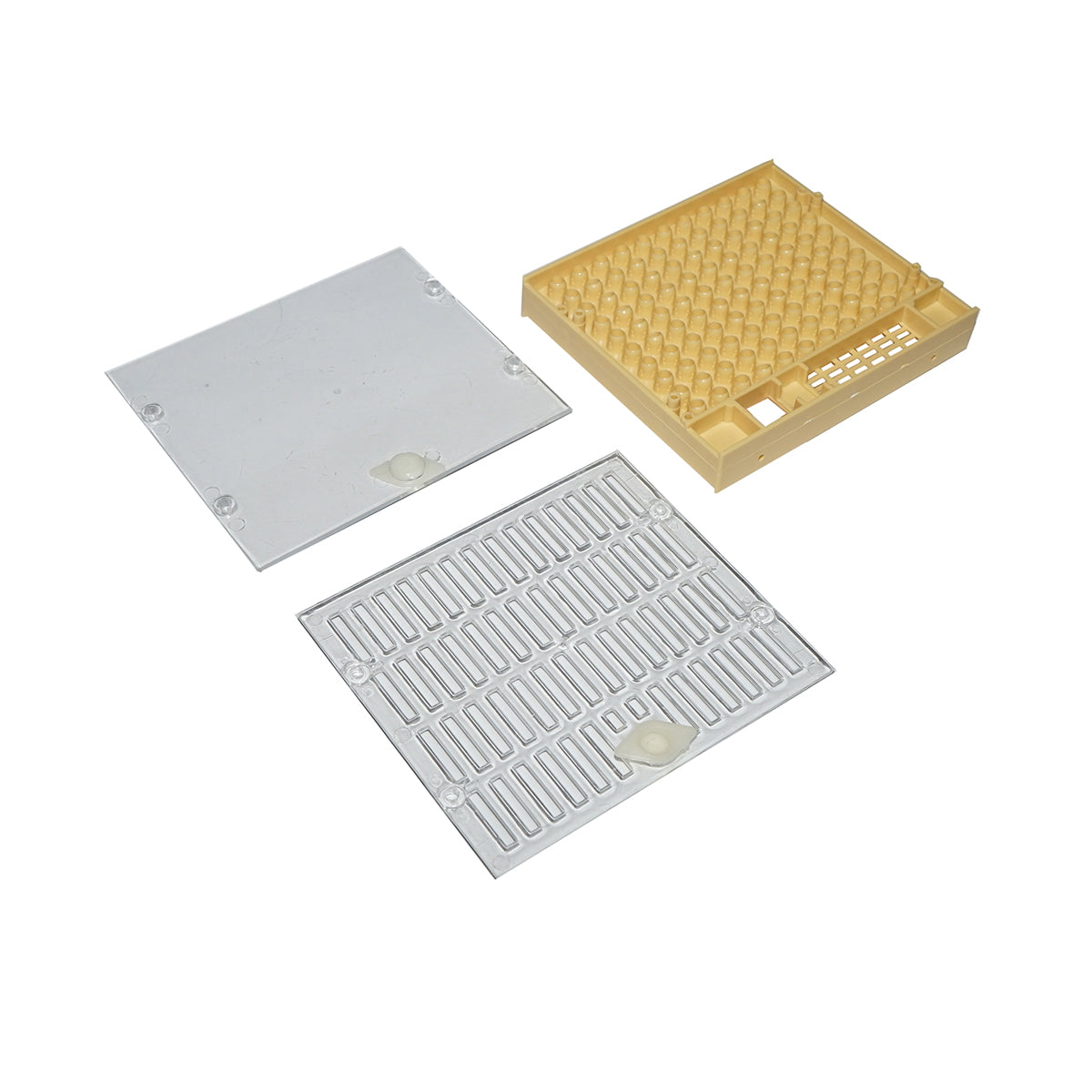 Queen rearing kit