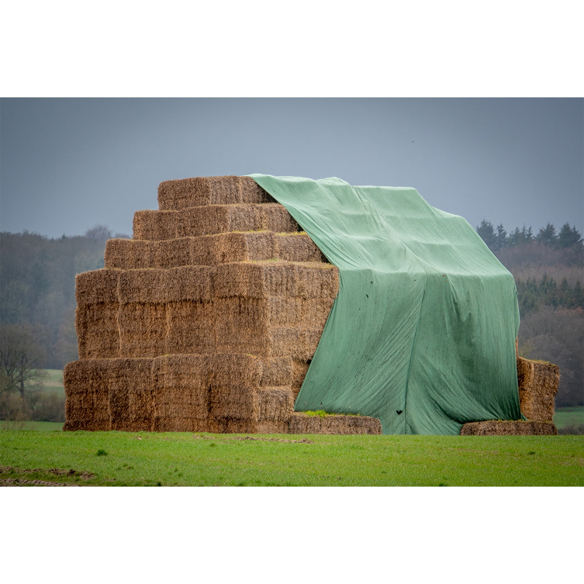 Cover tarpaulin for bales of hay and green straw 9.8X12.5m, 140gr Breckner Germany