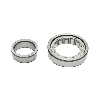 Bearing NJ207