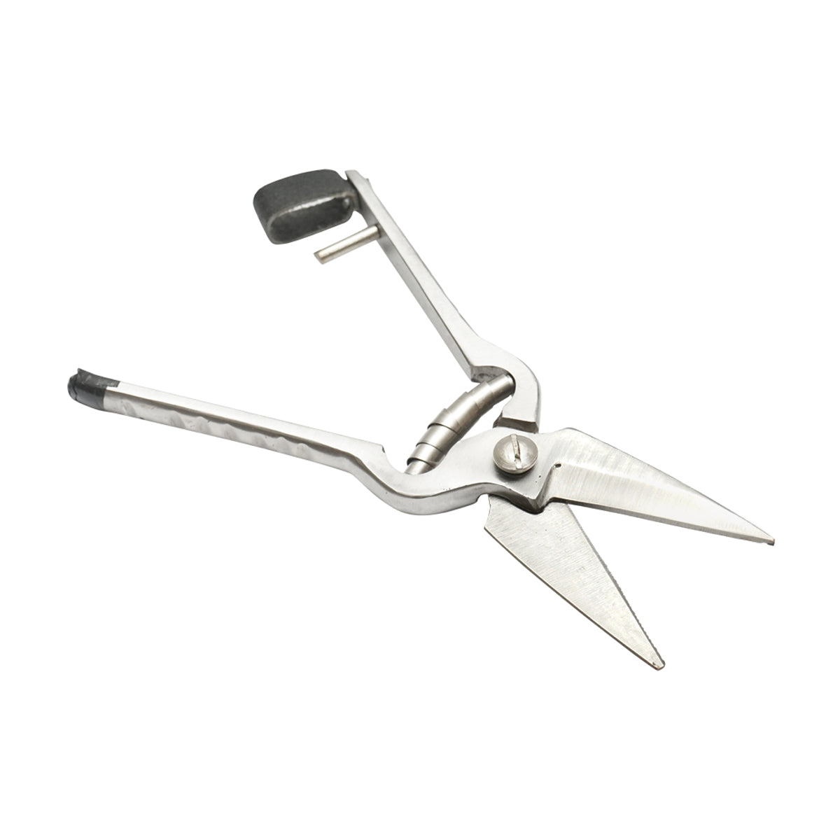 The serrated scissors for sheep and goats 220mm Breckner Germany