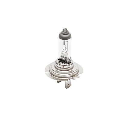H7 Bulb 12V 55W