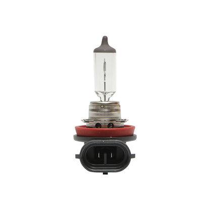 Halogen bulb (Osram) H11 12V 62W PGJ19-2