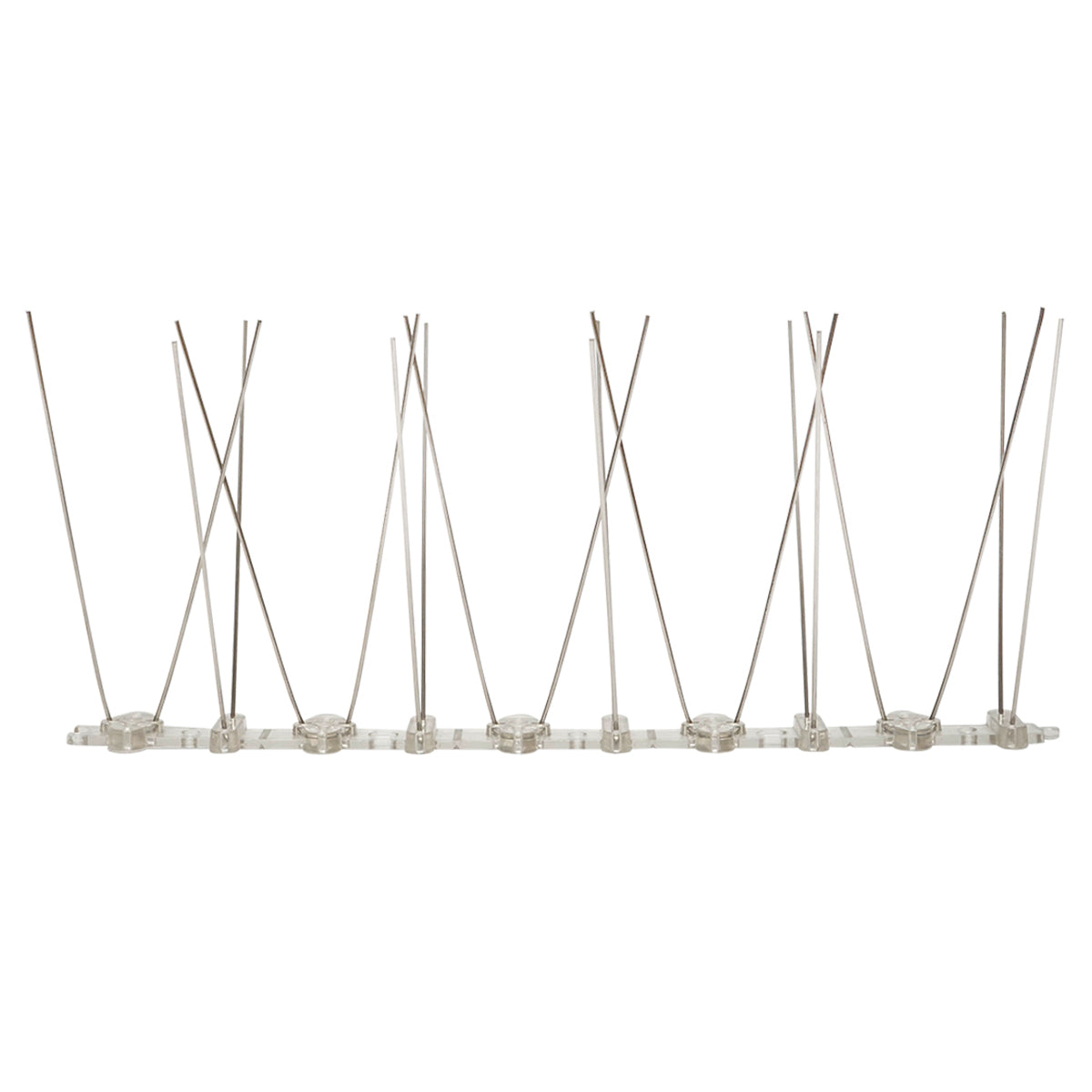 Band with 10 thorns, anti-bird spikes Baisan