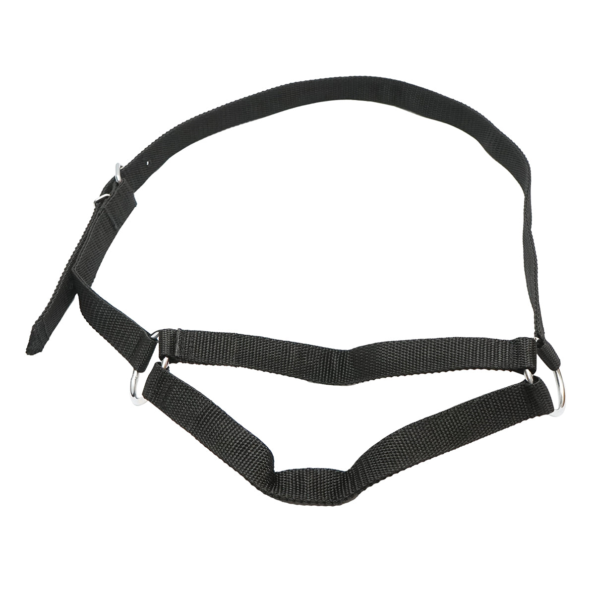 Cow halter with a 25mm nylon chain